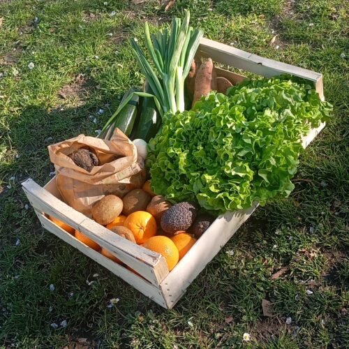 Panier de fruits et légumes