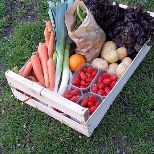Panier de fruits et légumes