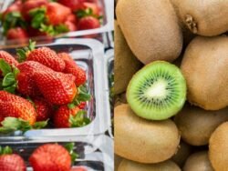 Fraises Garriguette & Kiwi français